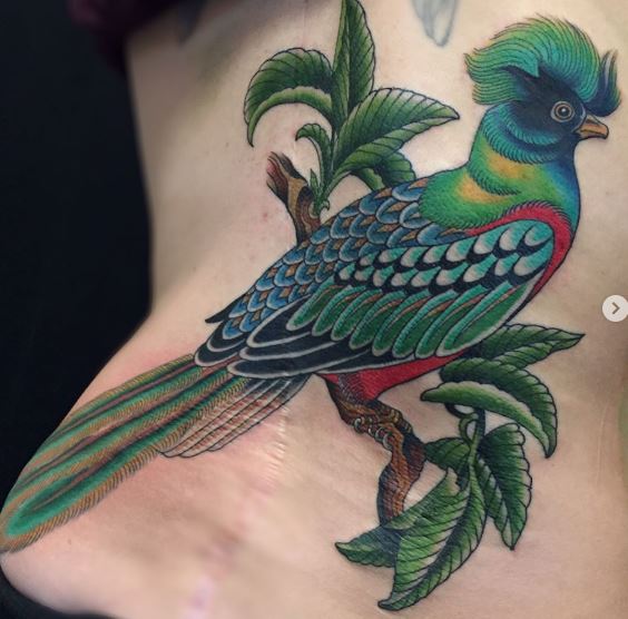 quetzalbird.JPG