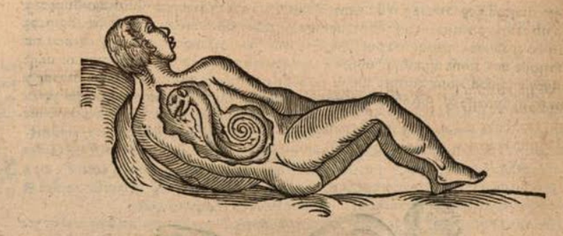 How Careful She Must Be: Midwives, Maternal Minds, and Monstrous Births