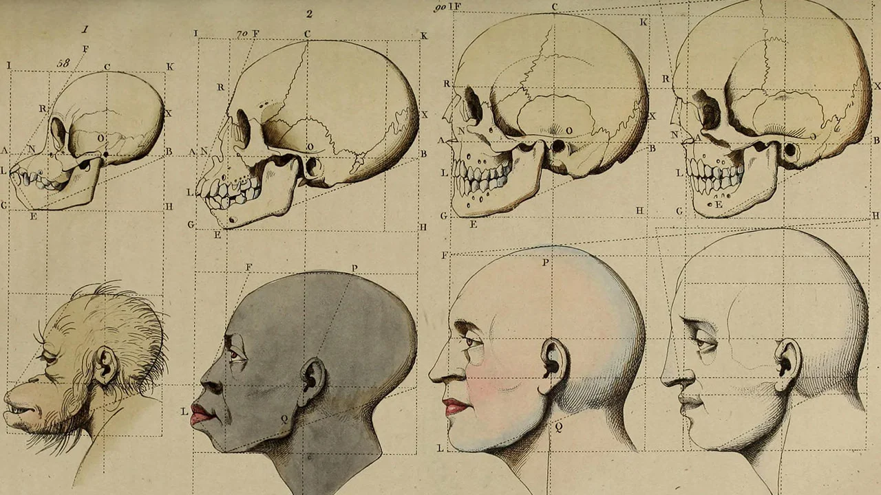 Review: Angela Saini's "Superior: The Return of Race Science"