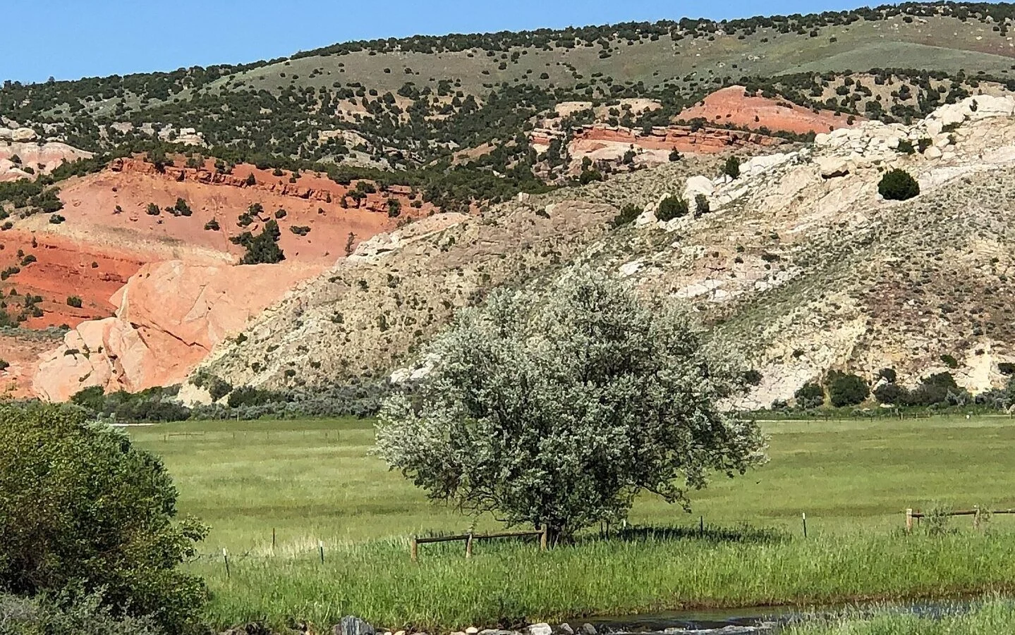 Bonus: A "Prehistoric Road Trip" with Emily Graslie
