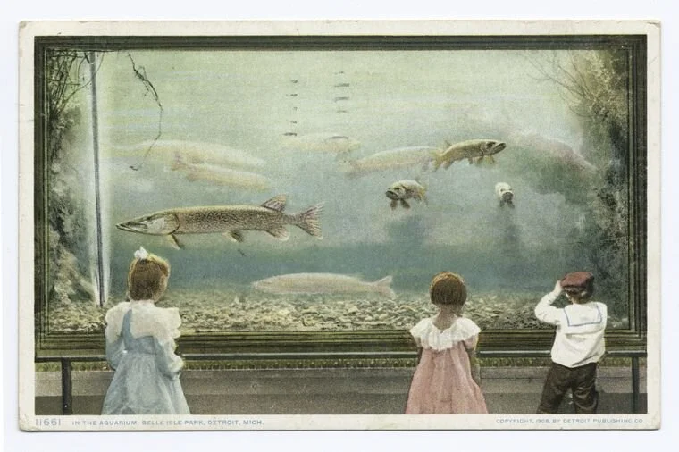  Through the Aquarium Glass