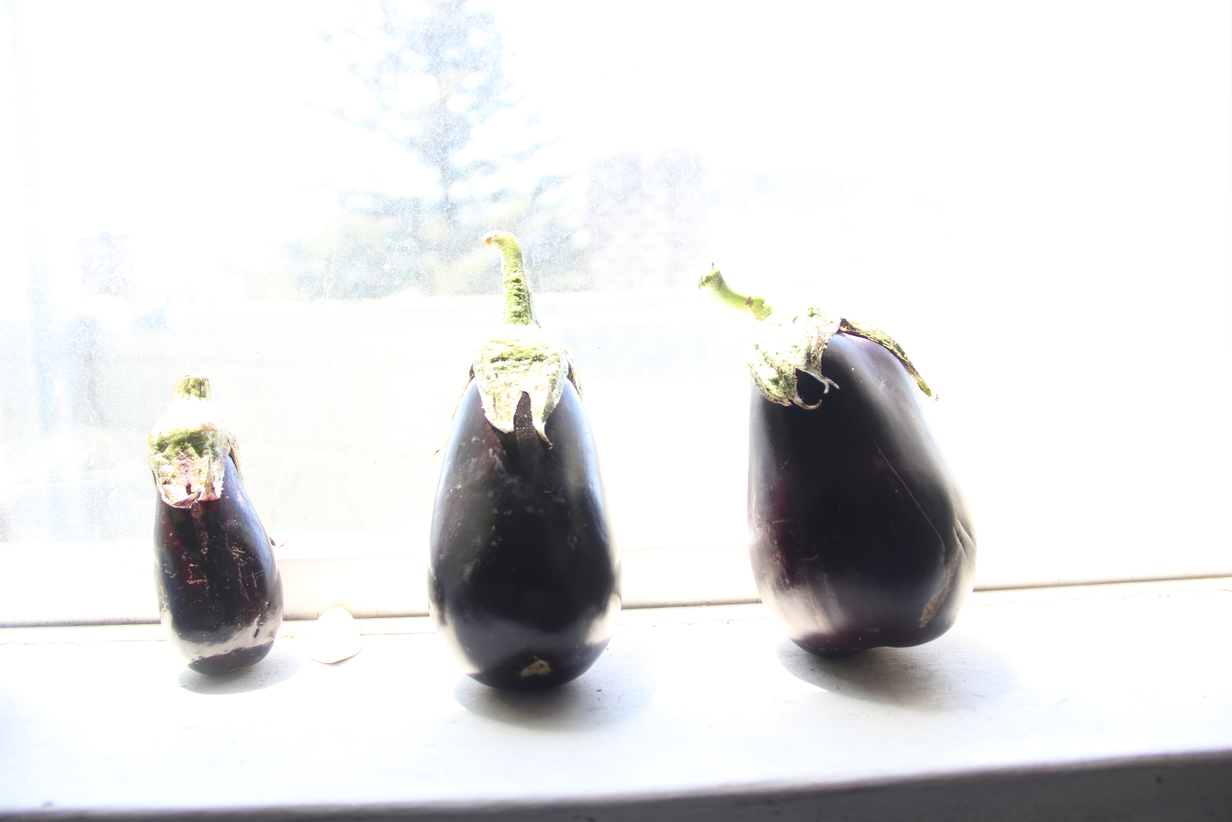 A happy family. 