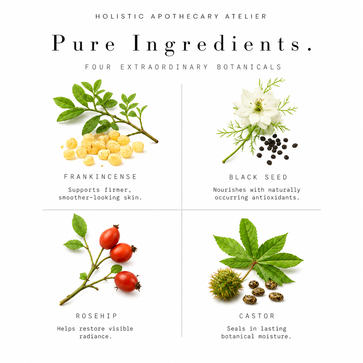 ingredients BLACK SEED ROSE HIP CASTOR OIL FRANKINCENSE.png