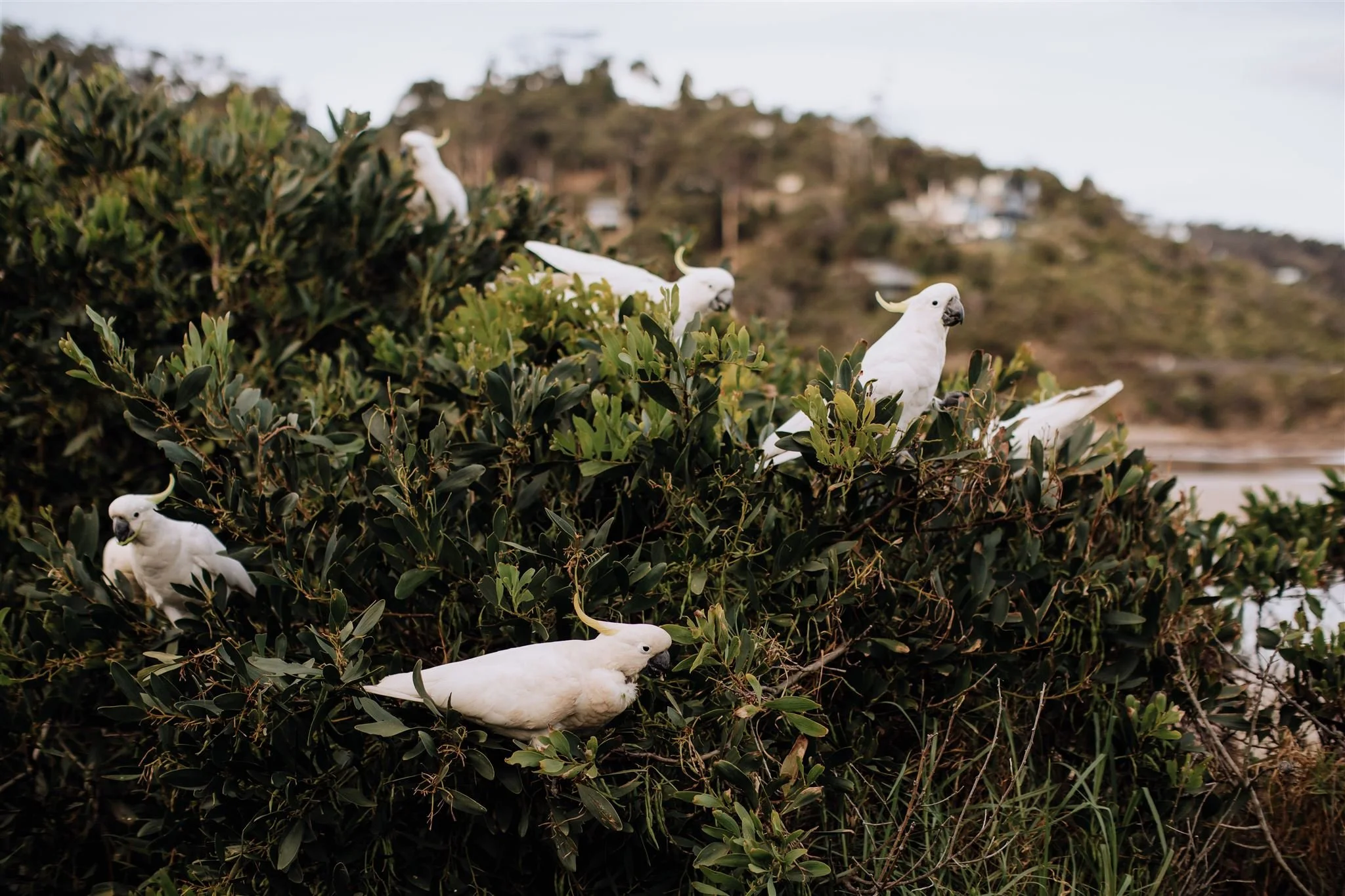 ©BeHereBeNow_Linnea&Tom-Wye-River-Wedding-767_websize.jpg