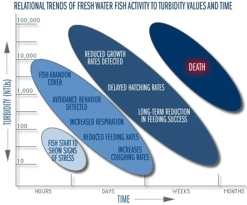 (Source: Water on the Web, http://waterontheweb.org )