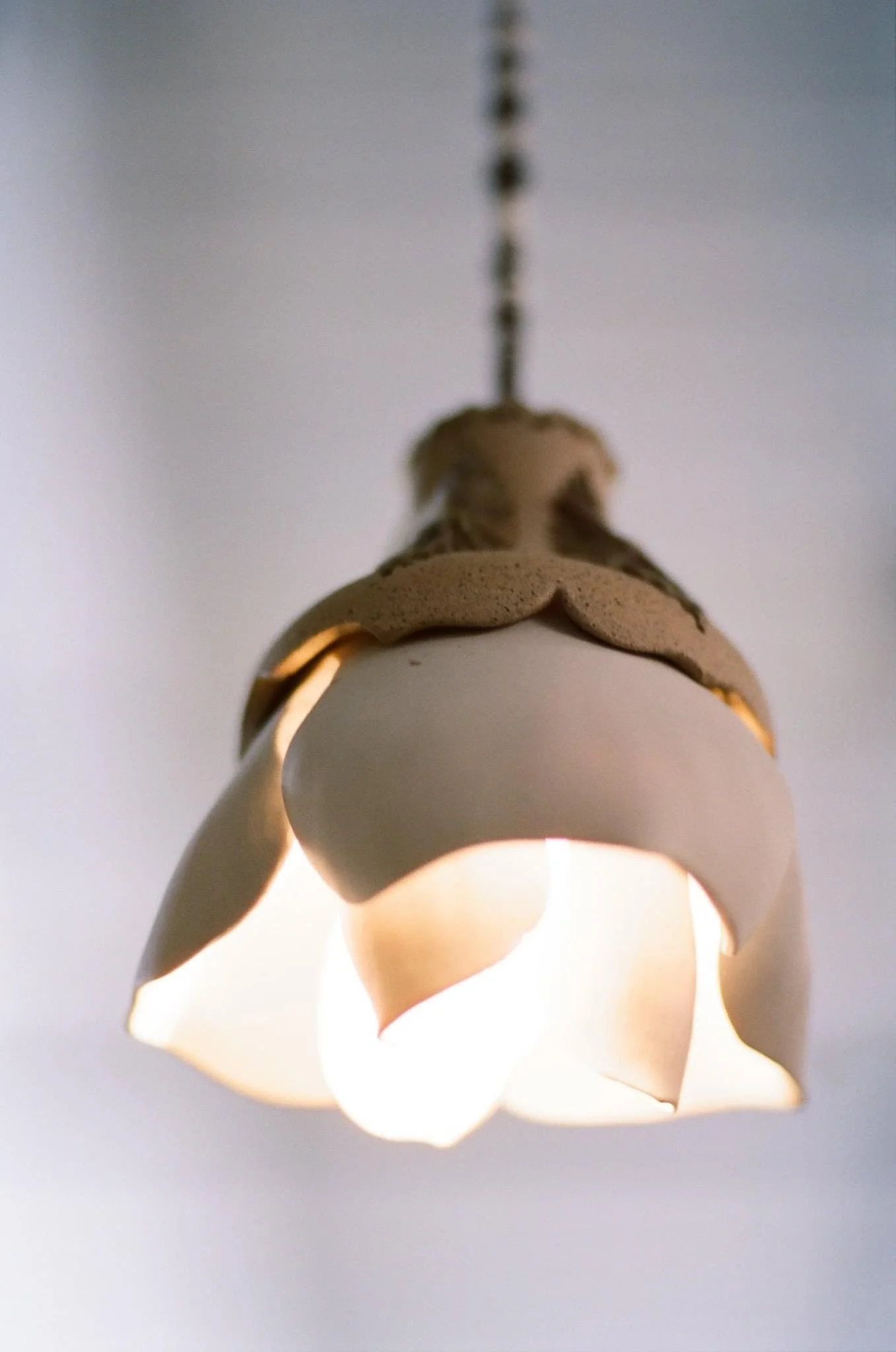Magnolia Pendant Light