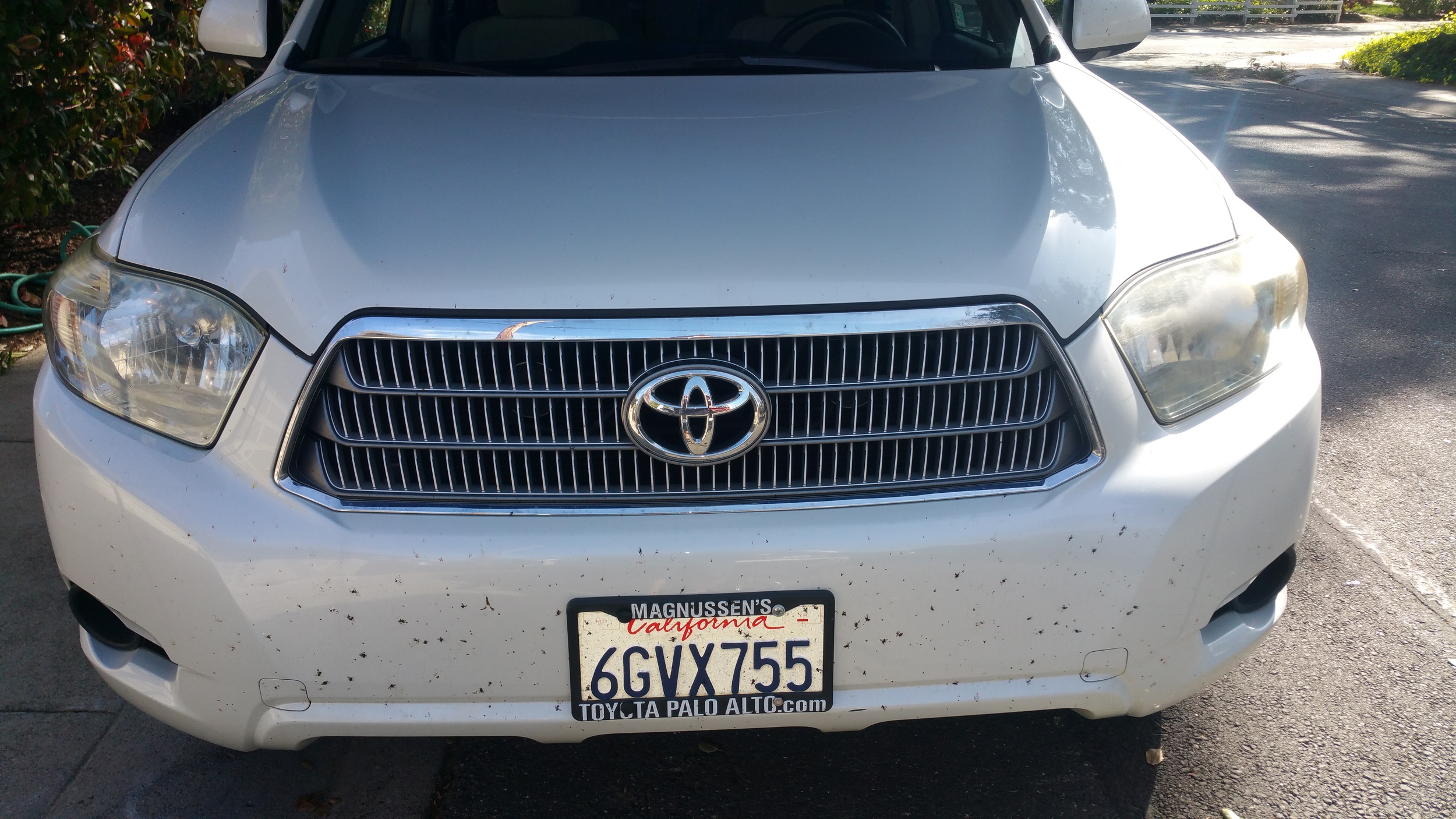 2009 Toyota Highlander Headlight Restoration Before