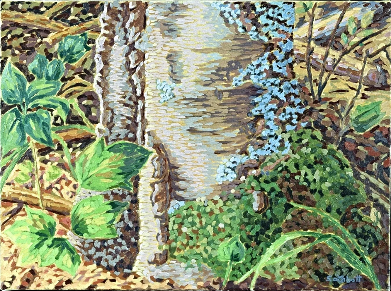 Forest Floor, Emma Lake