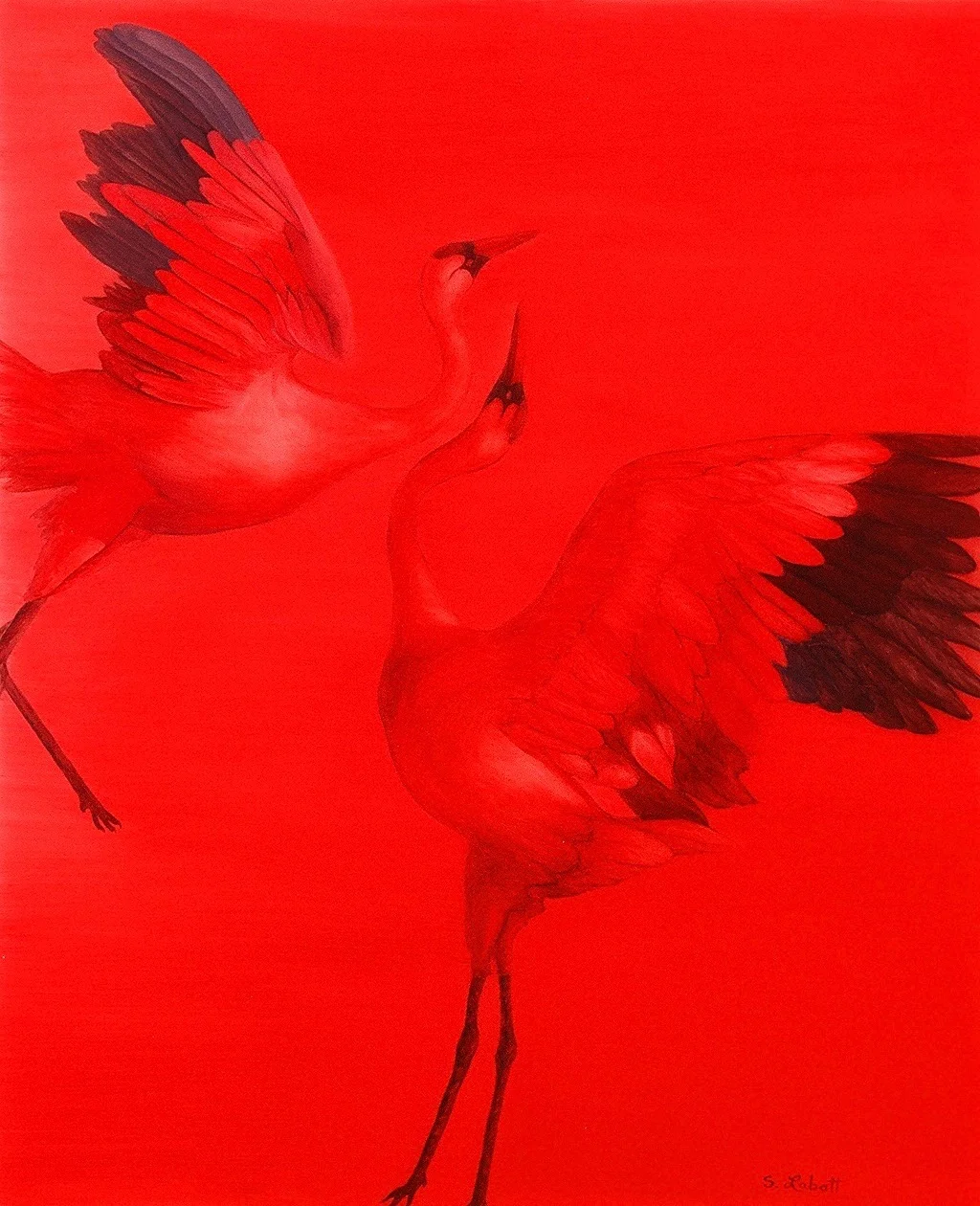 The Dance