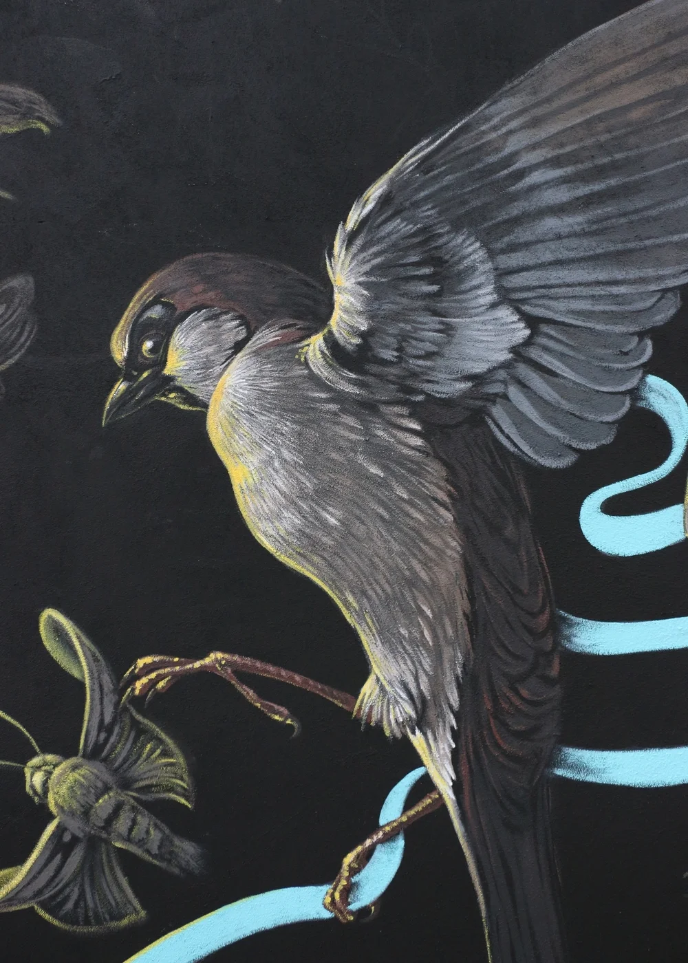 Evan Skrederstu & Chris Brand. Six Days . Detail. Rue du Docteur Magnan, 13me Arrondissement, Paris, France. 2015.