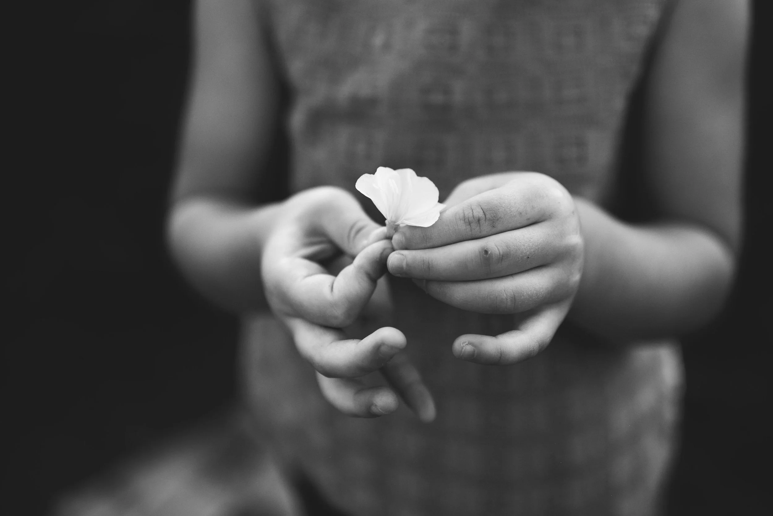 DSC_9068bw.jpg