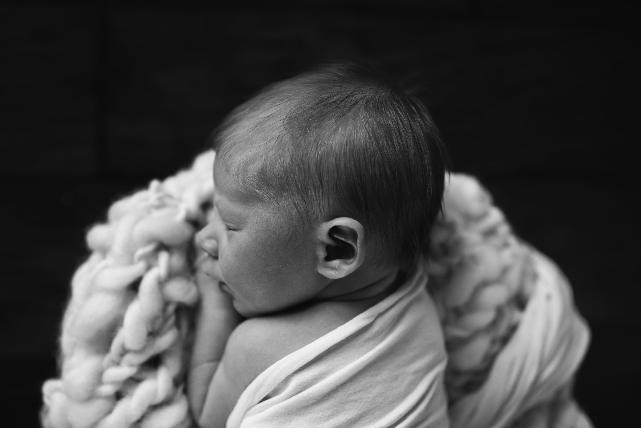 DSC_1967bw.jpg