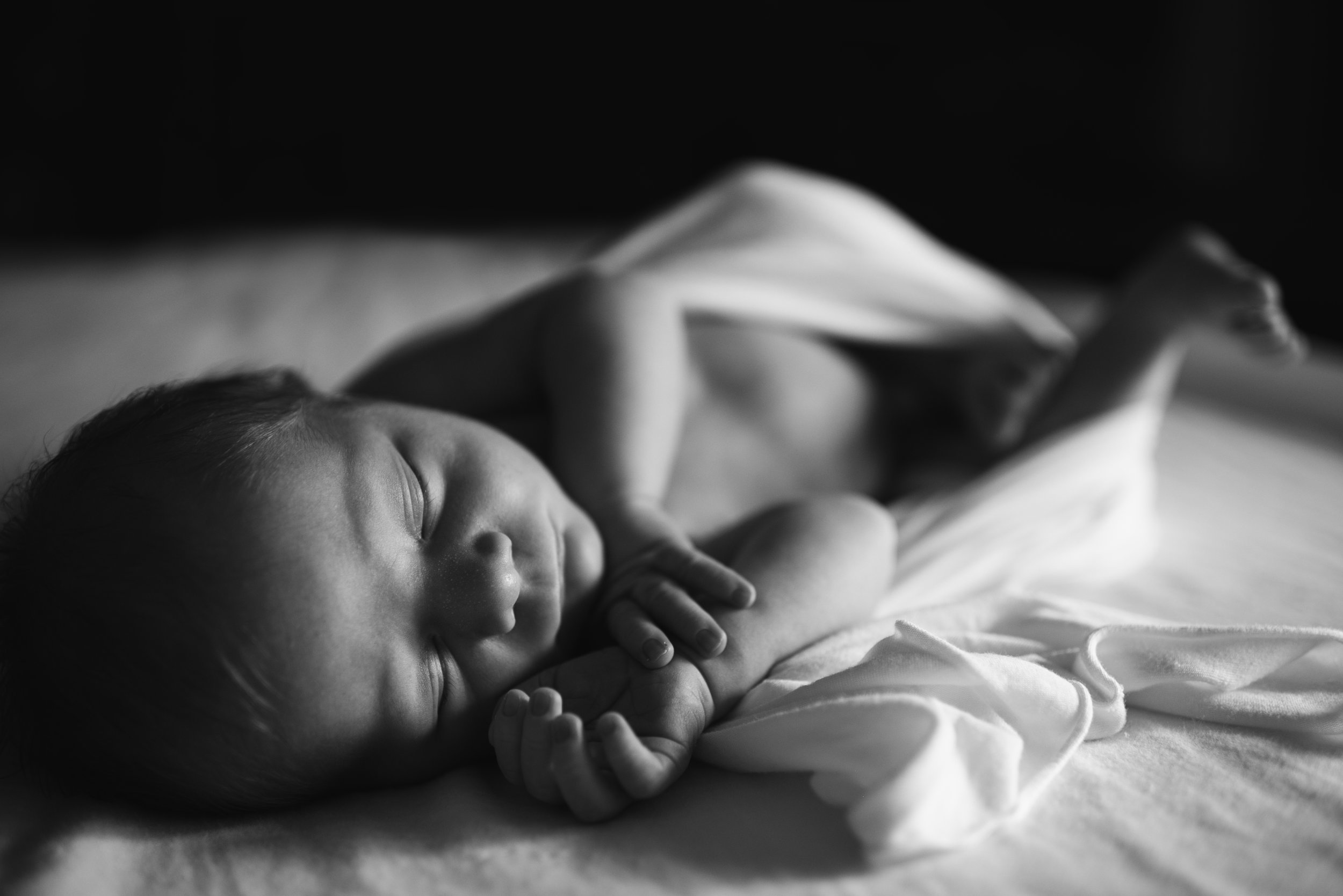 DSC_2109bw.jpg
