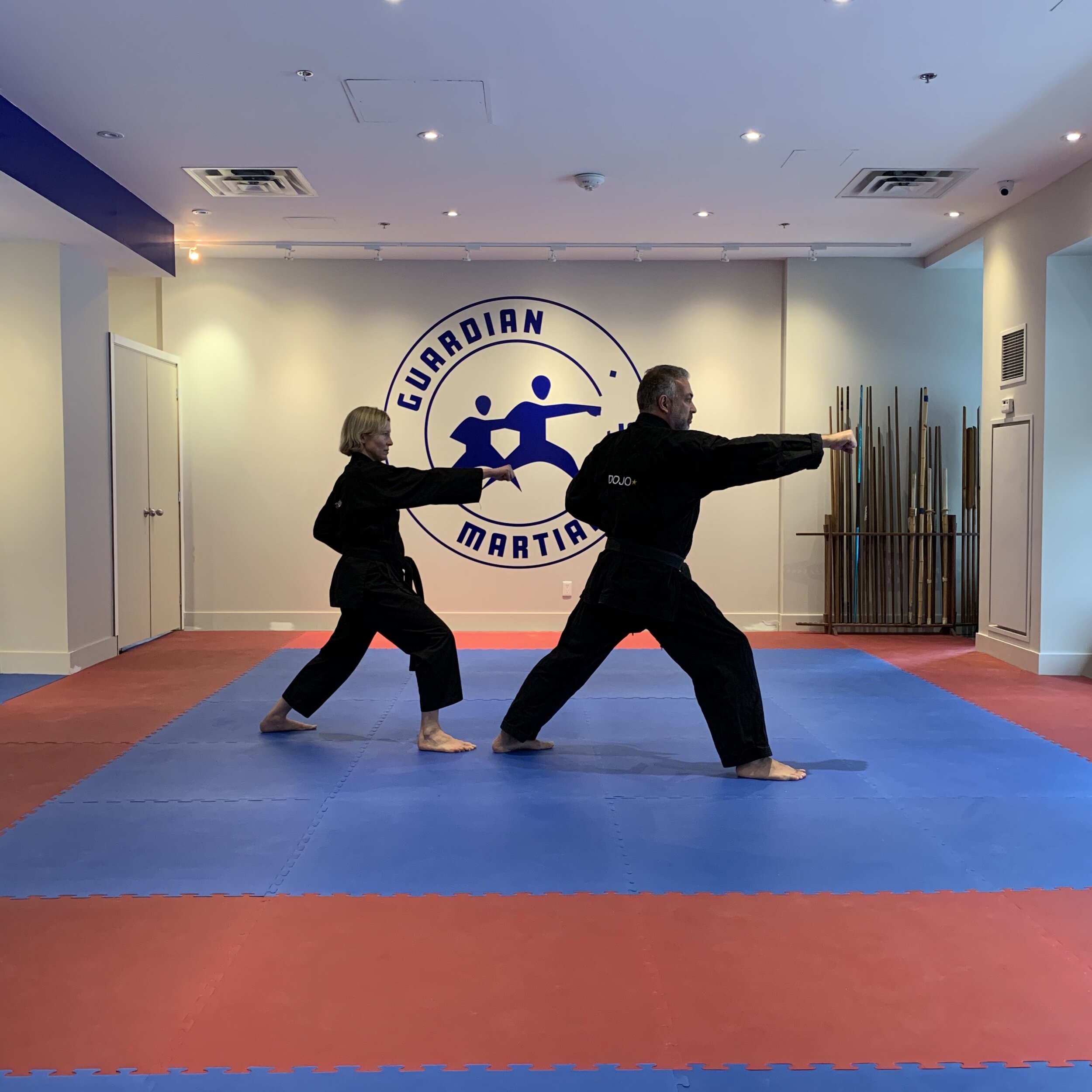 Sensei and Shihan