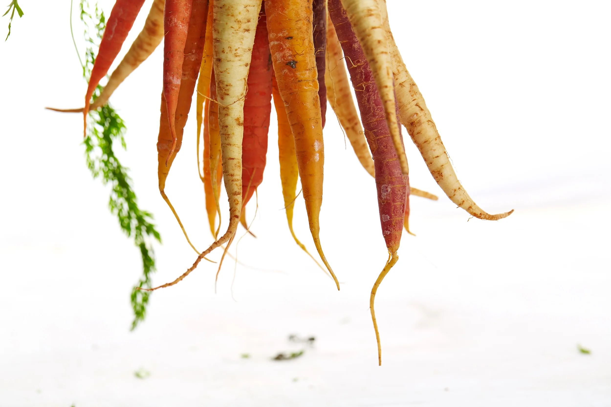 Nutrition Trends in 2016: Ugly Veggies and the End to Food Waste