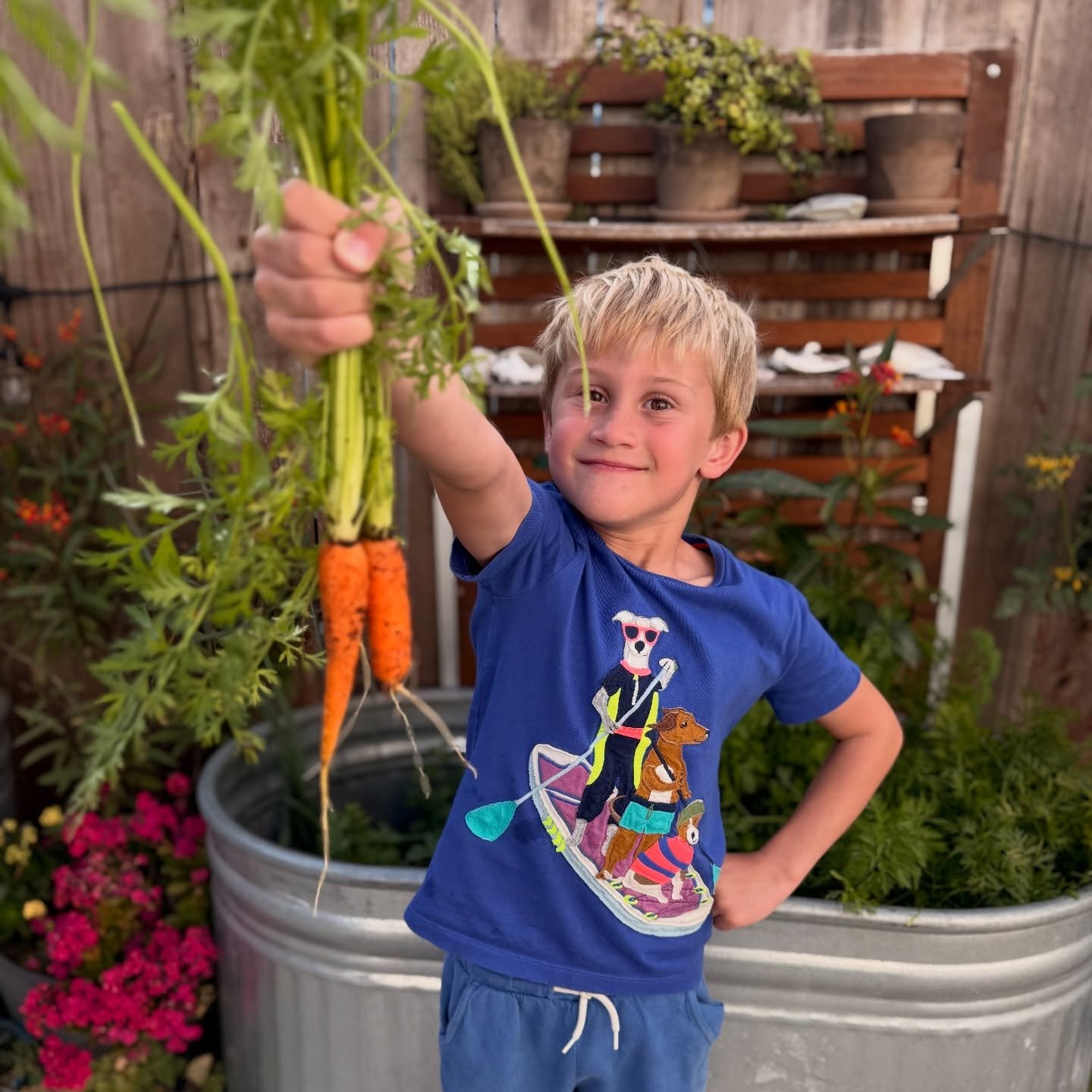 Best carrots I&rsquo;ve ever tasted 🥕. Why haven&rsquo;t we grown these before? They were so sweet! #homegarden #healthylifestyle