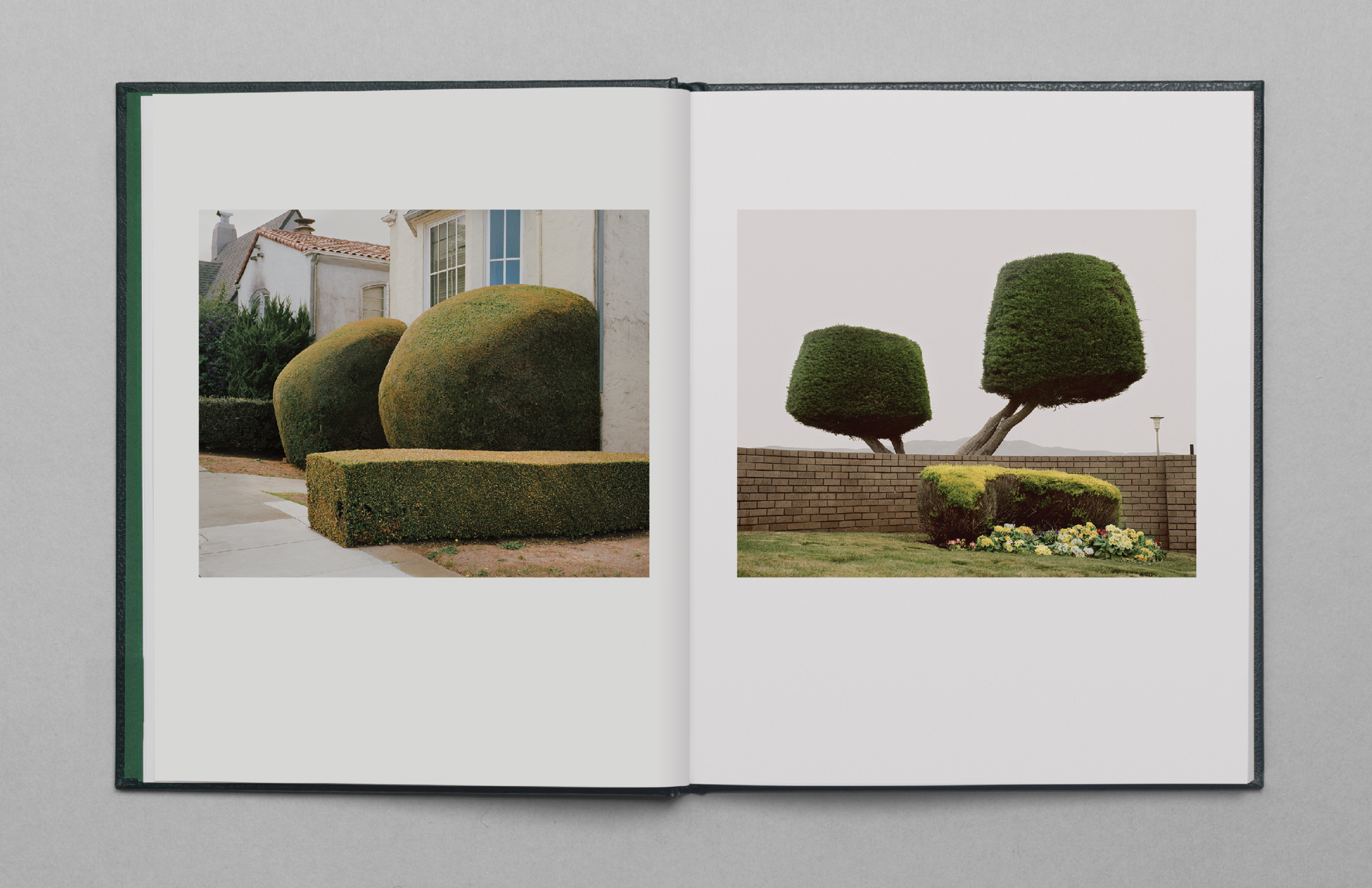 California_Topiary_Images11.png