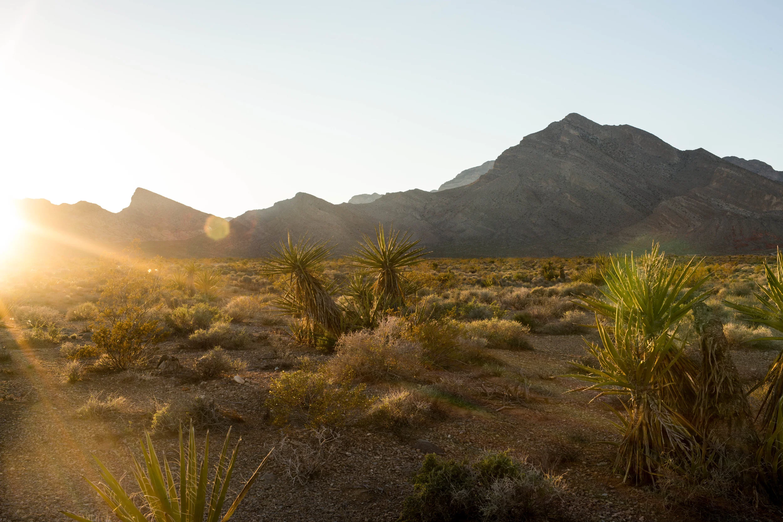 Mojave Desert, Utah