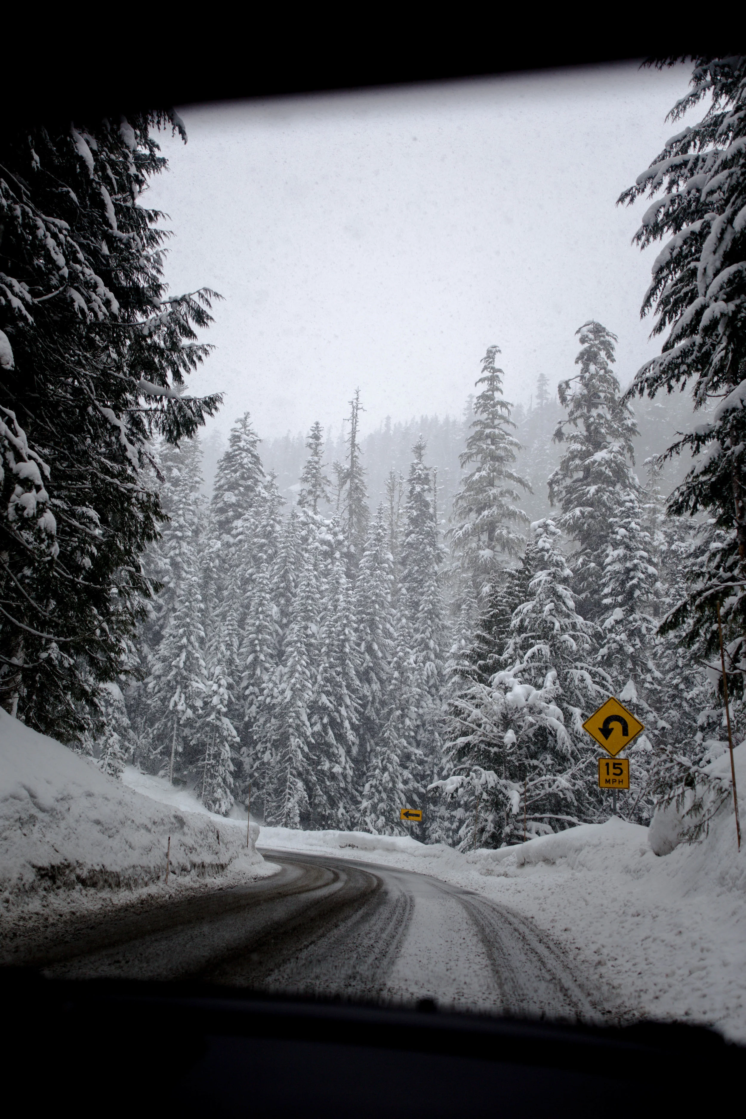 Mt Baker & Jaker-31.jpg