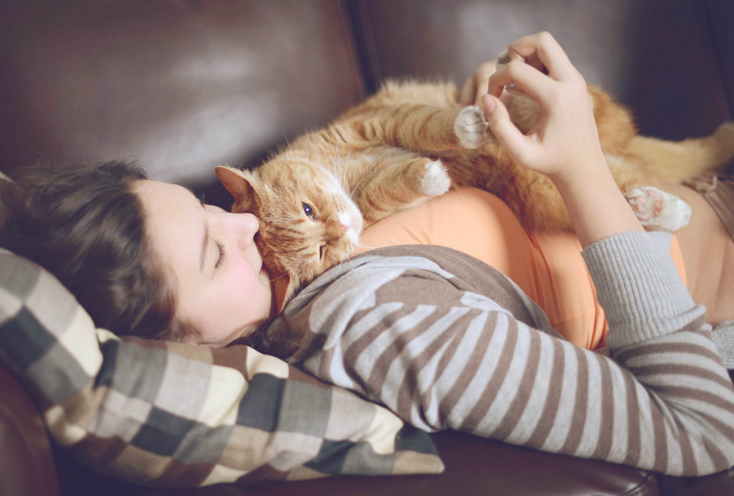 iStock_000061917076_XXXLarge.jpg