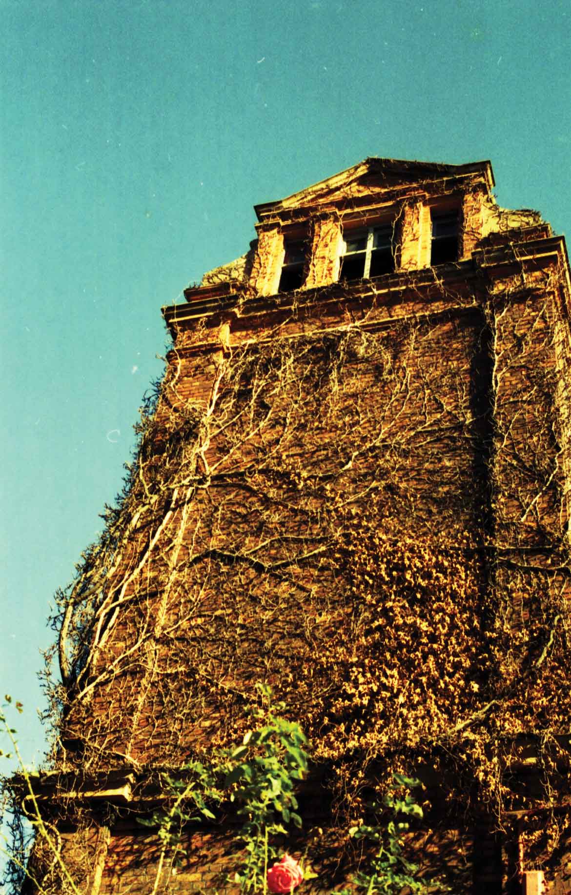 wapping4.jpg