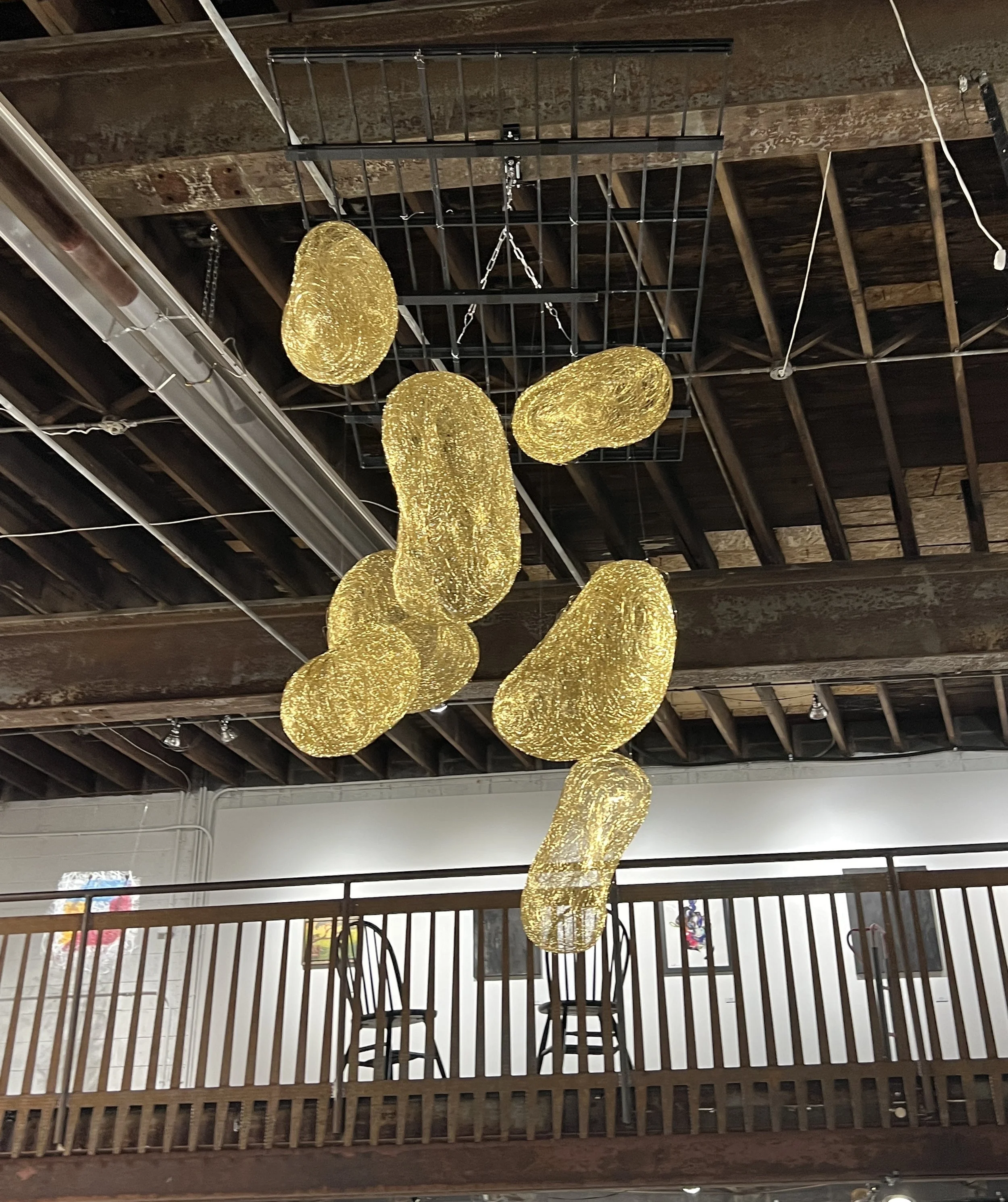 gold-beans-1.JPG