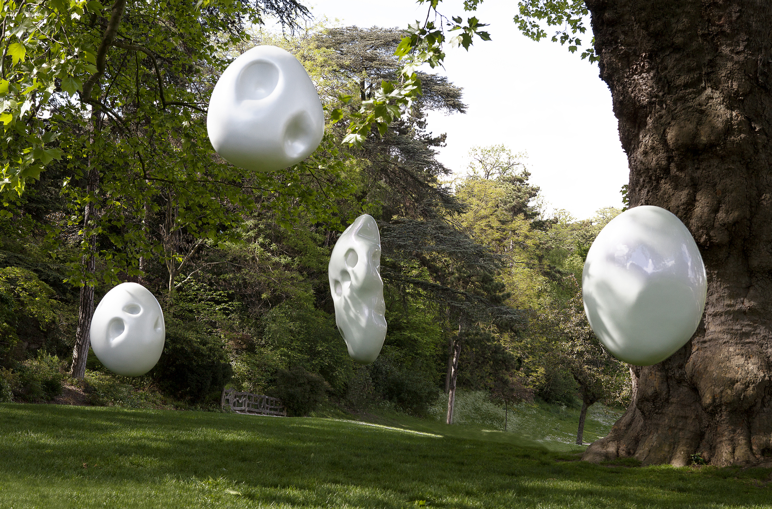 Richard Texier Elastogenese