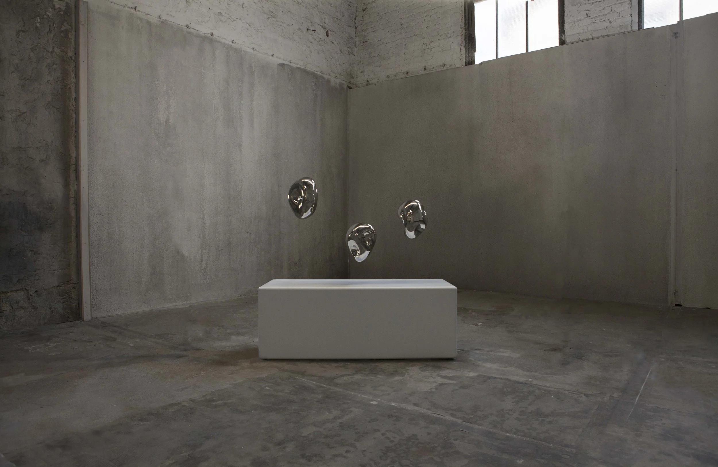 Richard Texier - Elastogenese