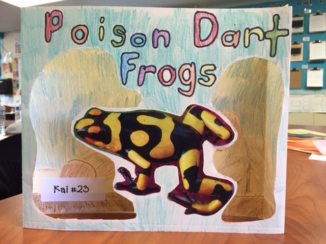 poison dart frog diorama.jpg