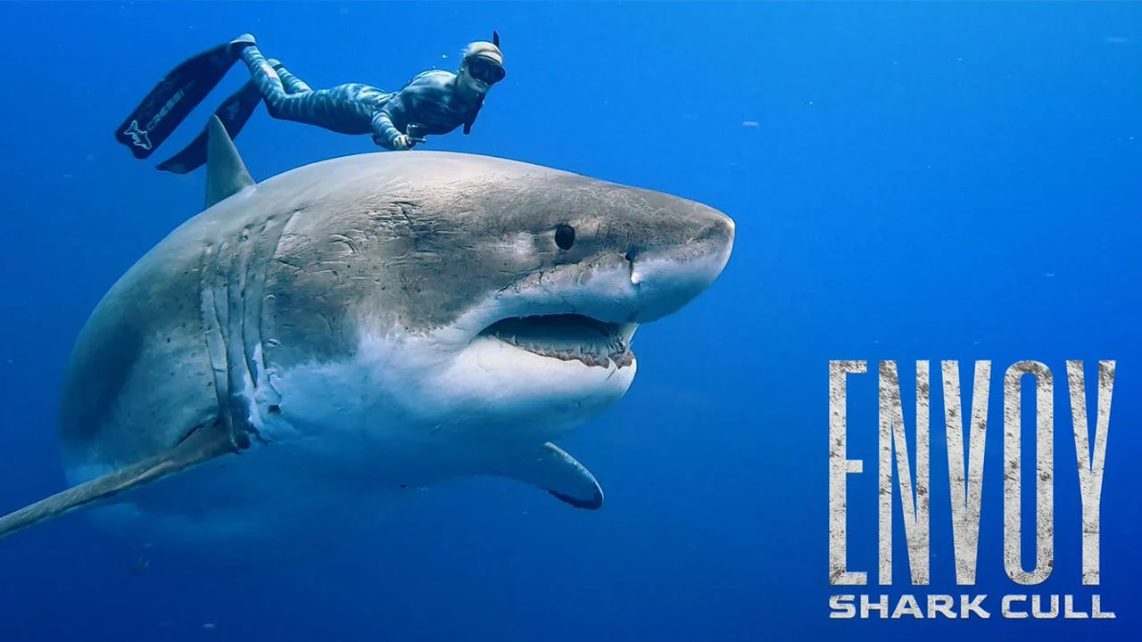 Envoy: Shark Cull