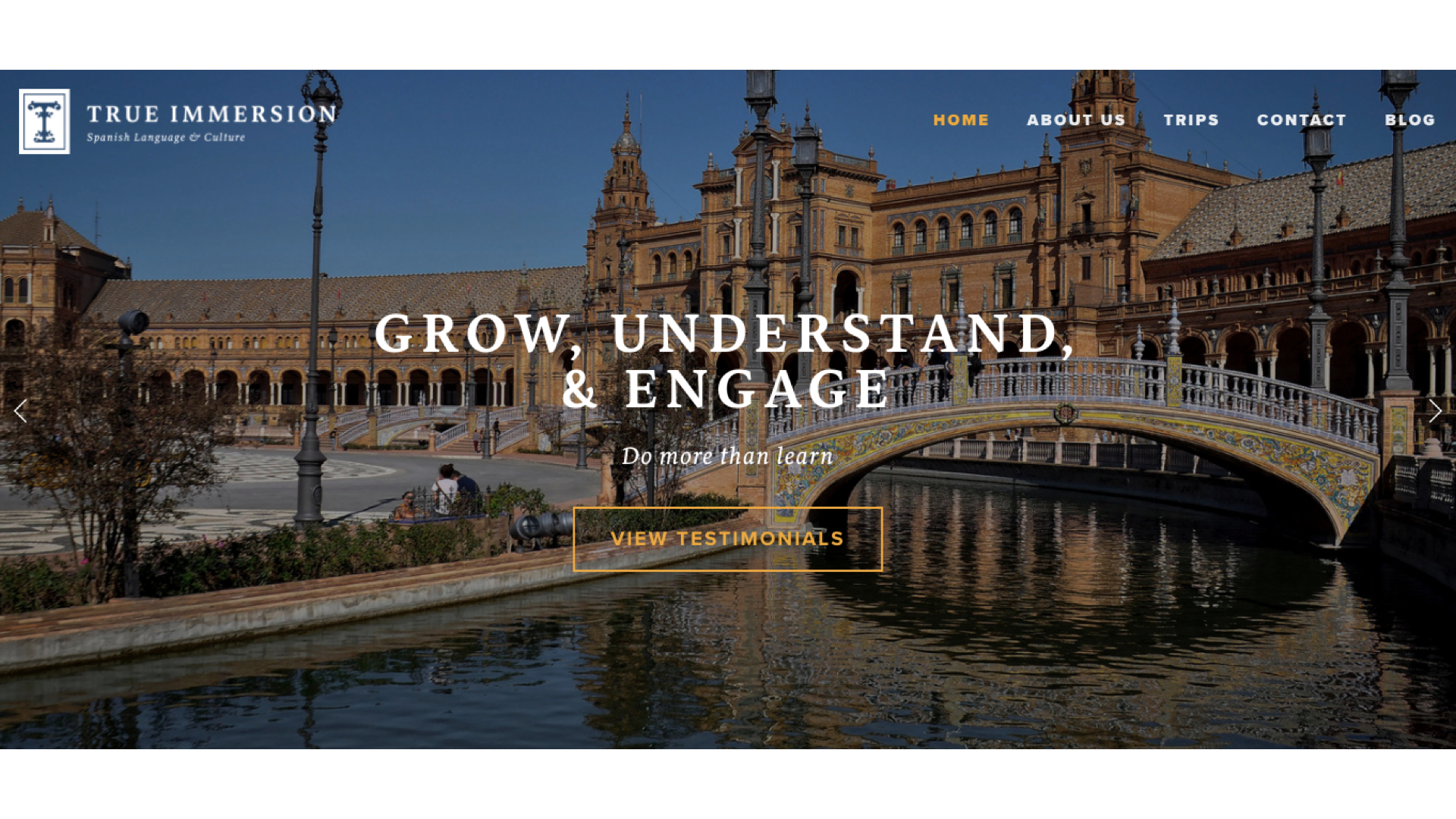 new website