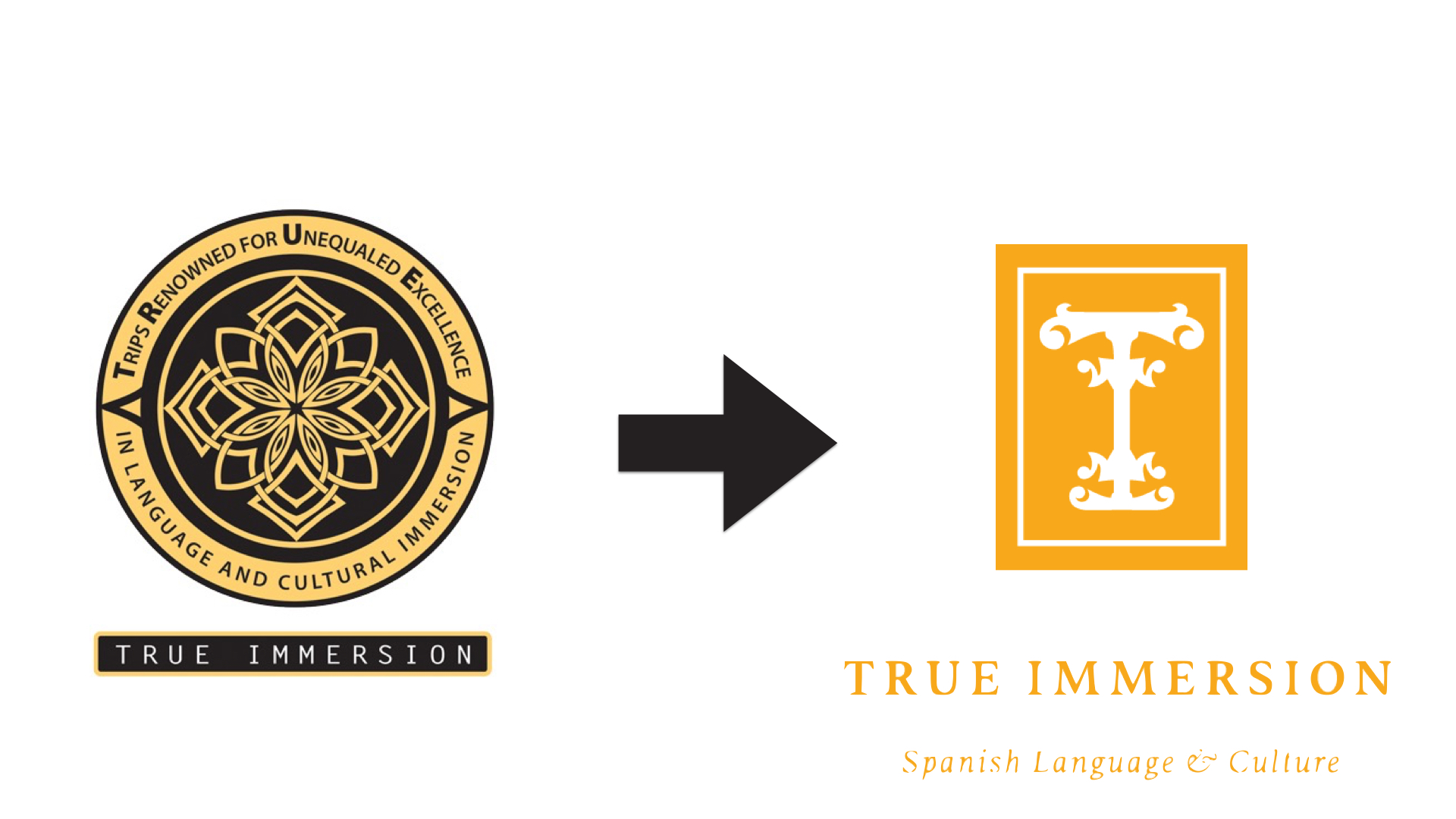 true immersion square.005.jpeg