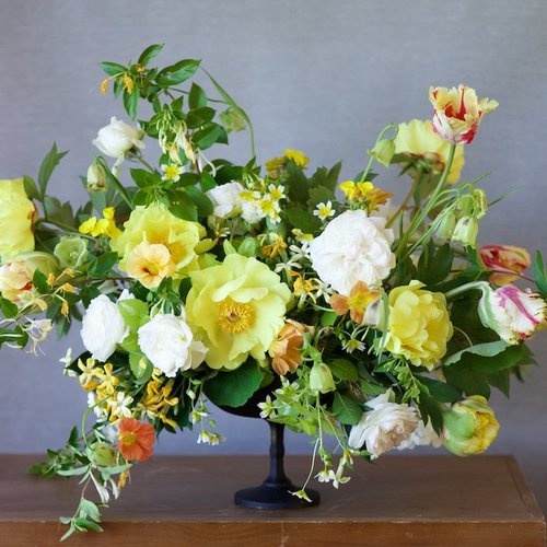 sf florist: tulipina