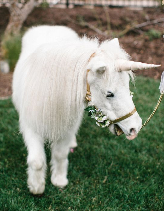 cute kids party idea