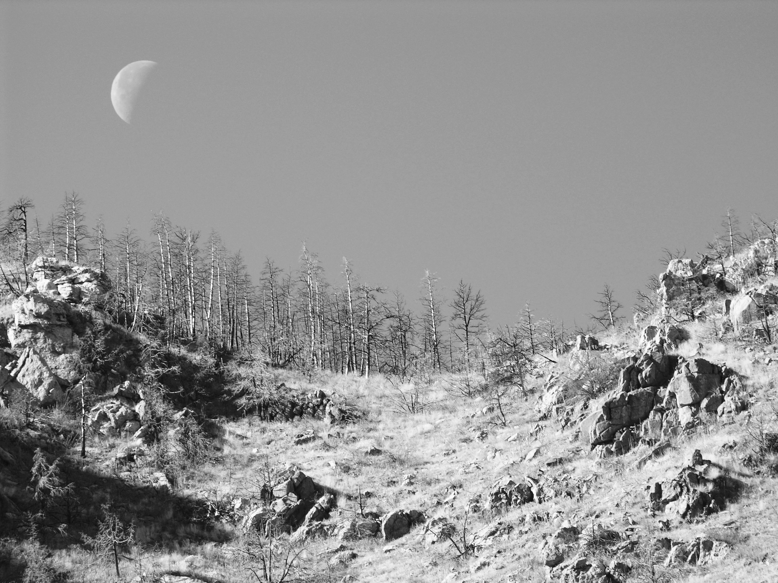 Hewlett Gulch4.jpg