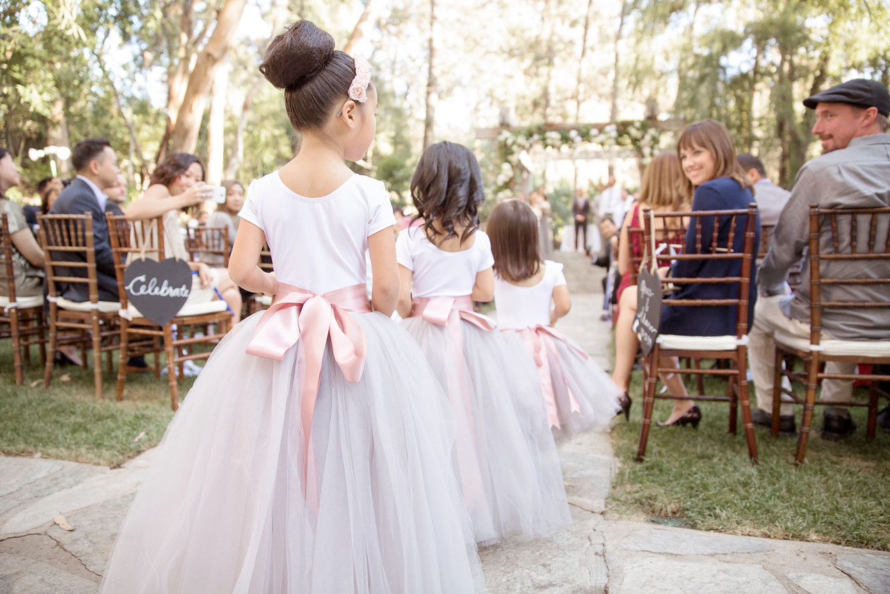 C 121-X2.jpg