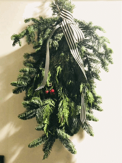 unnamed.gif