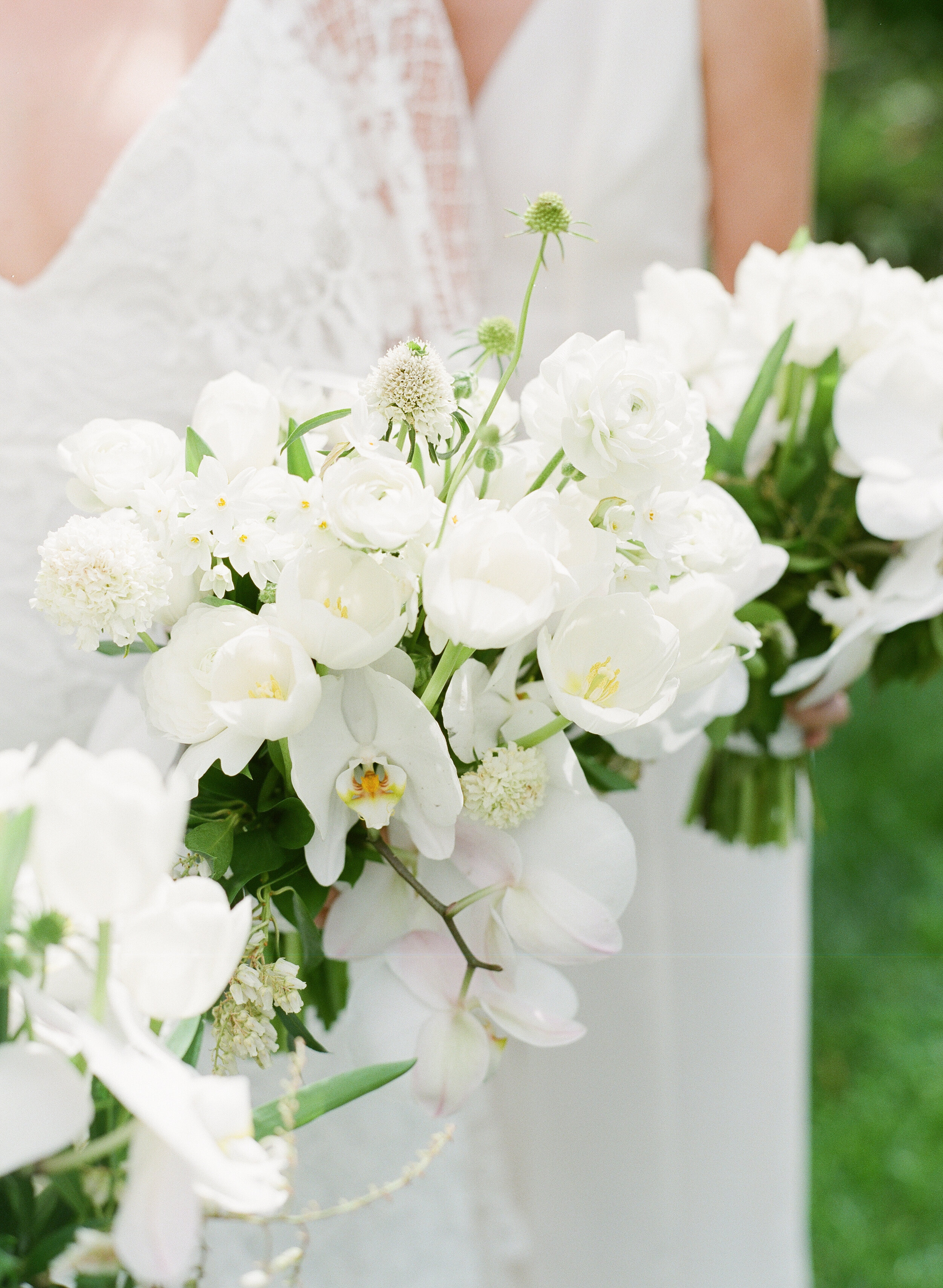 Wedding Florist Los Angeles Southern California Blog — Wisteria Lane