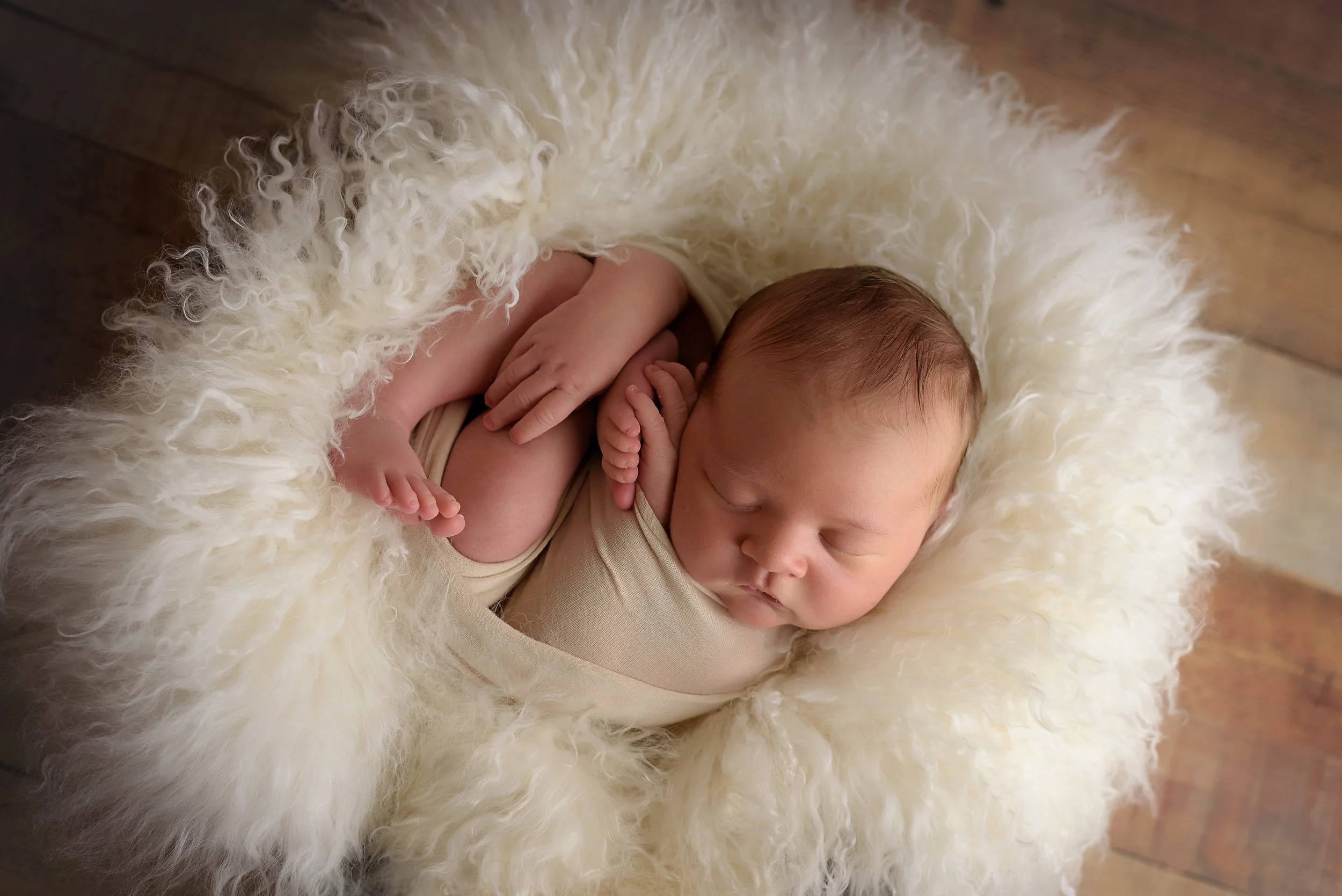 Northfield_Newborn_Photographer5.jpg