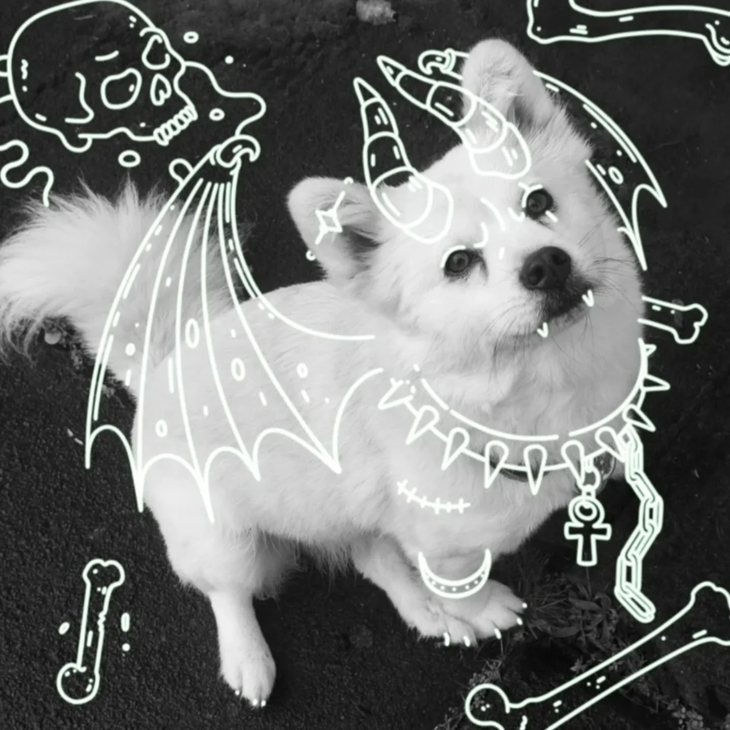 안녕! I&rsquo;m Kimchi, hellhound, store mascot and the other half of The Ghoullery! Curtis may think he's in charge around here, but let's be honest... Just look at me! You know who's in control. When I'm not basking in the dark worship of my follower