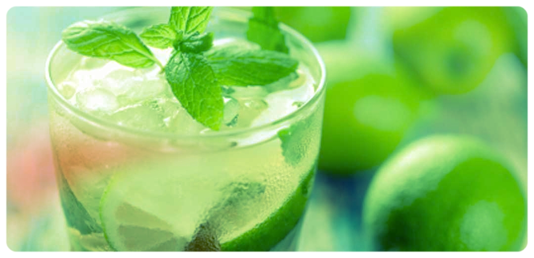 mojito-header.jpg