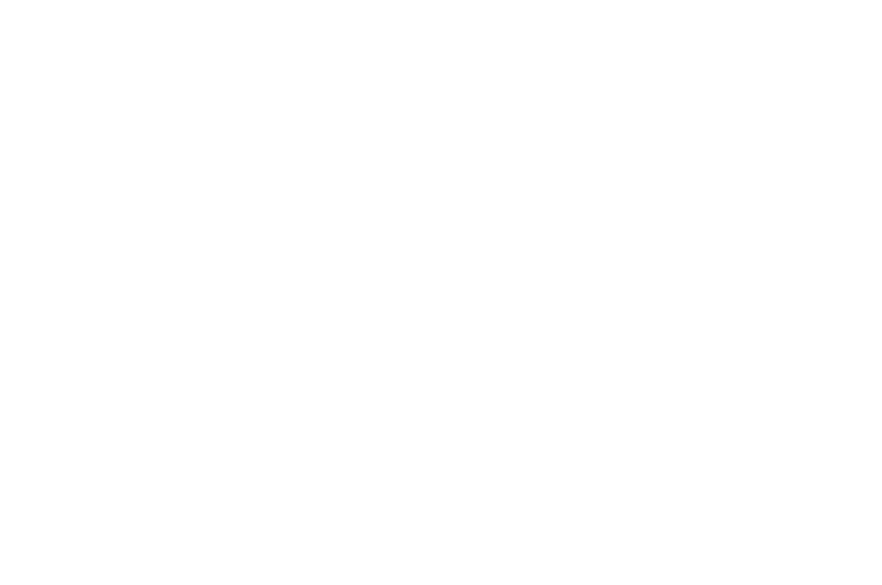 OFFICIAL SELECTION  - DMOFF - 2016.png