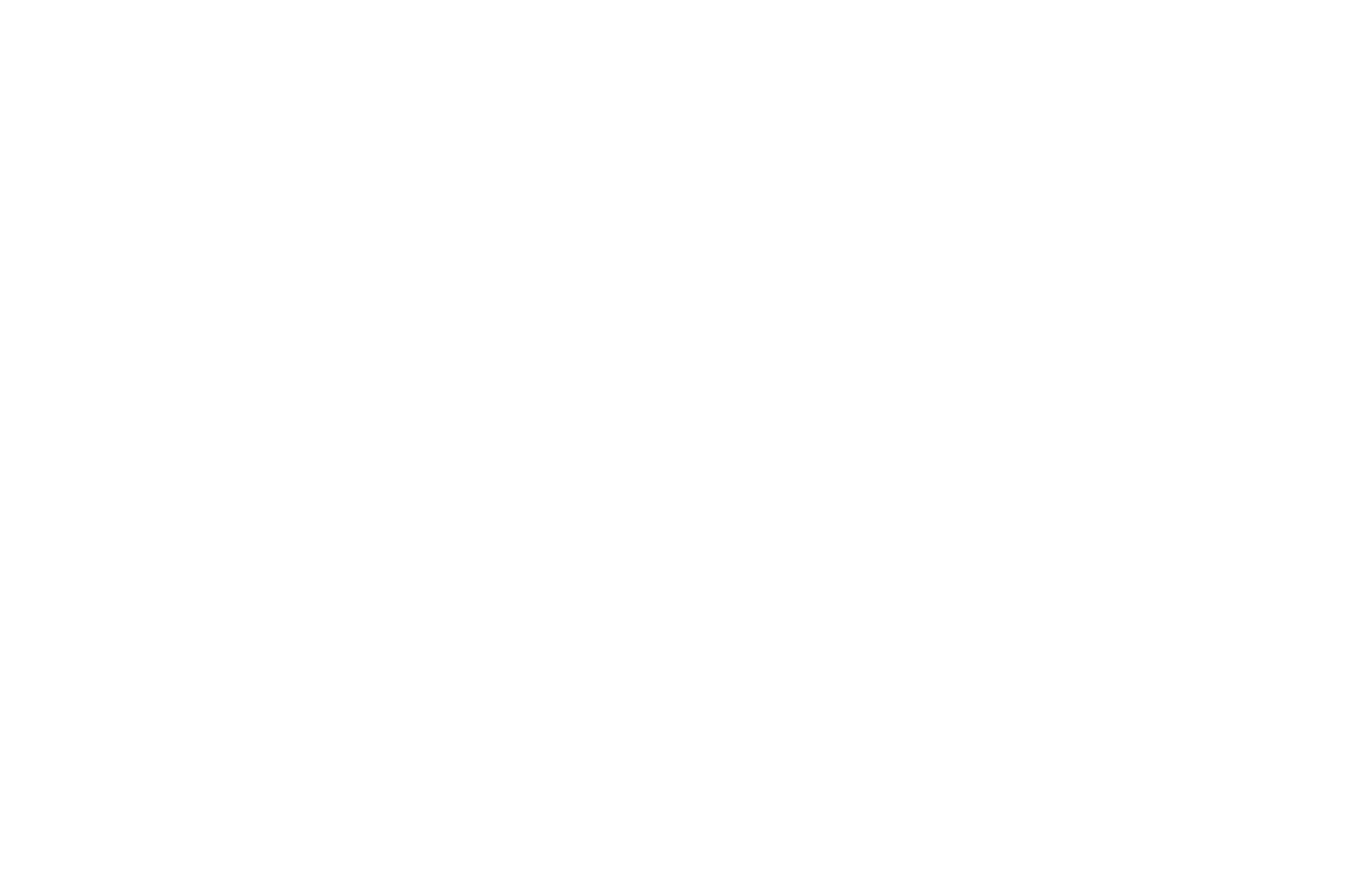 OFFICIAL SELECTION  - OIFF - 2016 (1).png