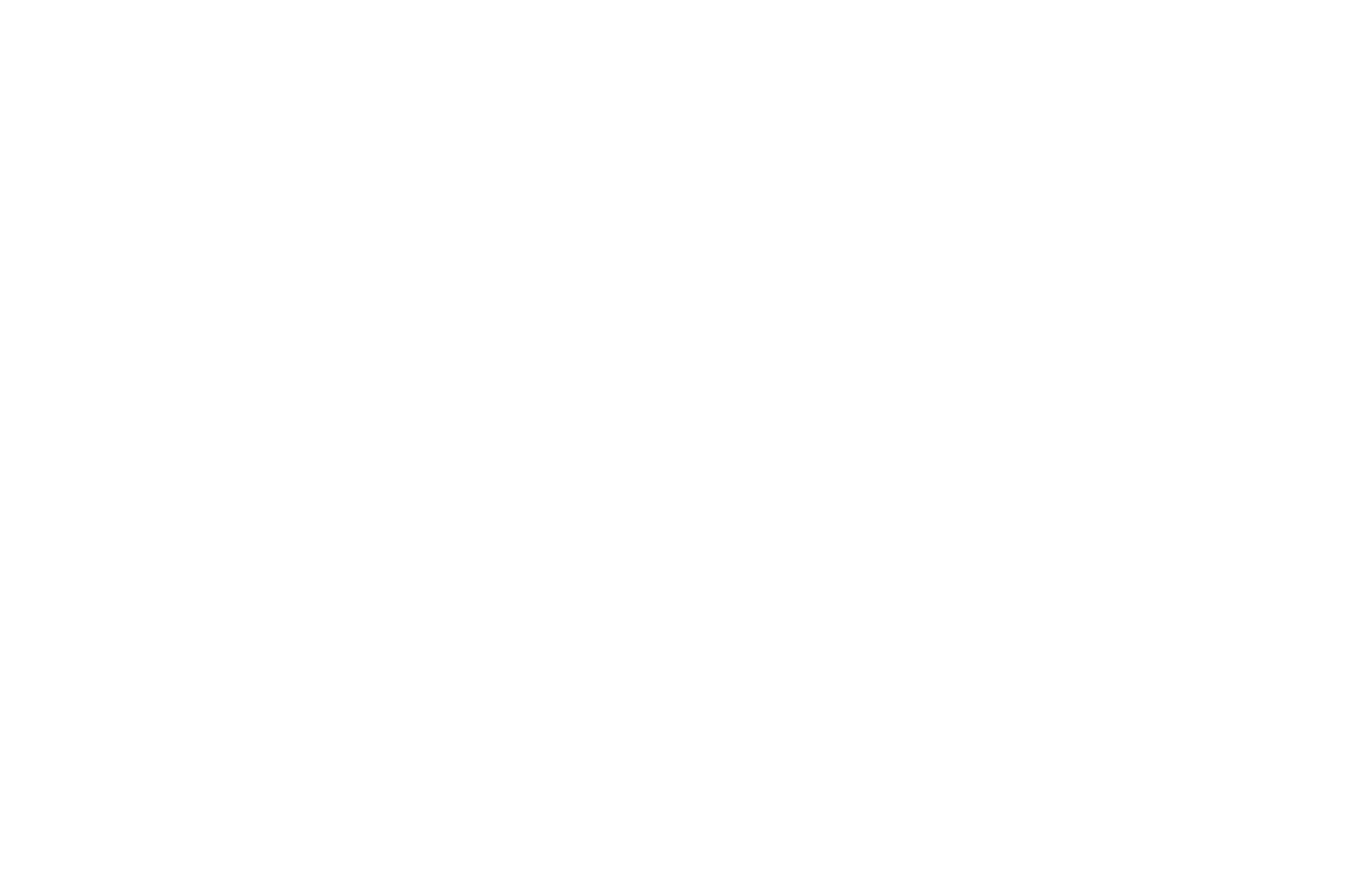 OFFICIAL SELECTION  - ROMA CINEDOC  - 2016.png