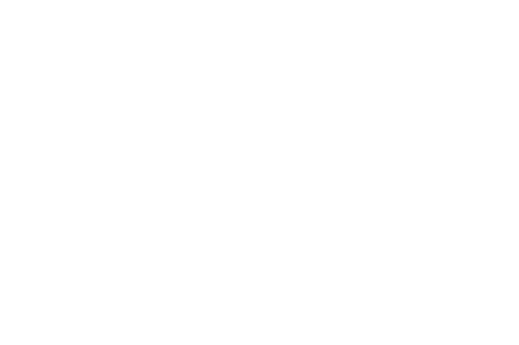 OFFICIAL SELECTION - CHAIN NYC FILM FESTIVAL  - 2016.png