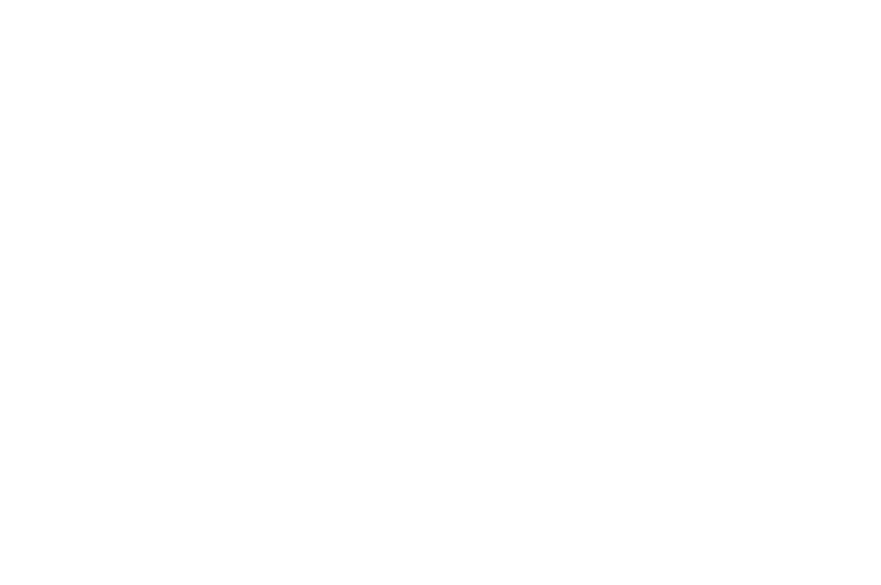 OFFICIAL SELECTION - HIMPFF  - 2016.png