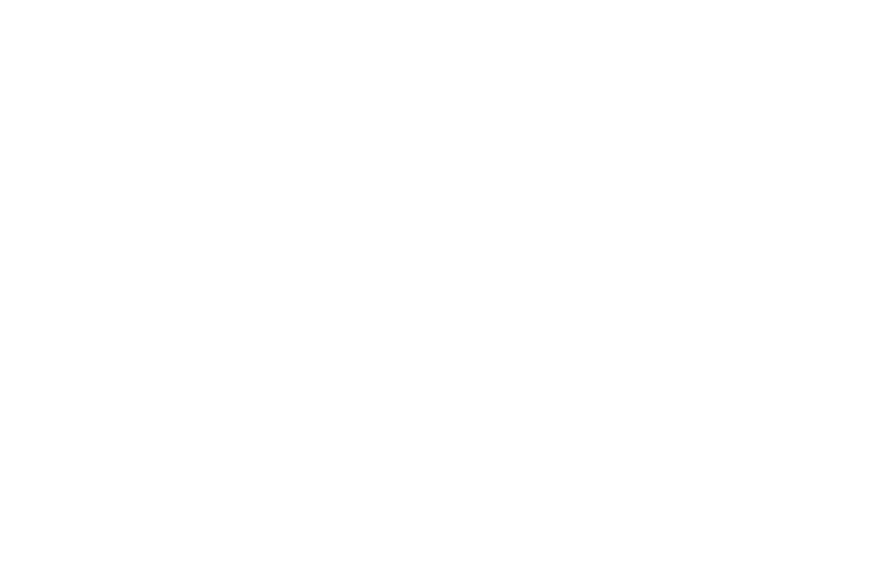 OFFICIAL SELECTION - LAIFF AWARDS  - 2016.png