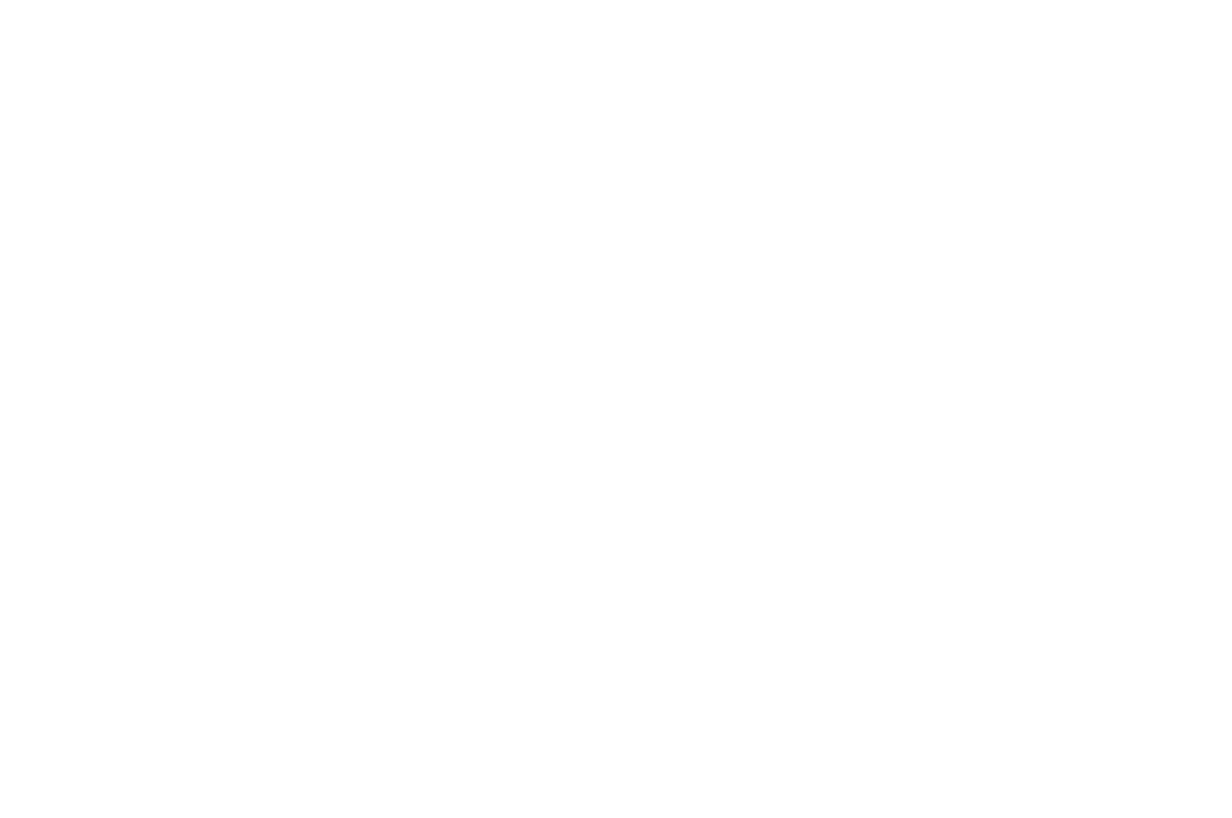 OFFICIAL SELECTION - LOS ANGELES CINEFEST - 2016.png