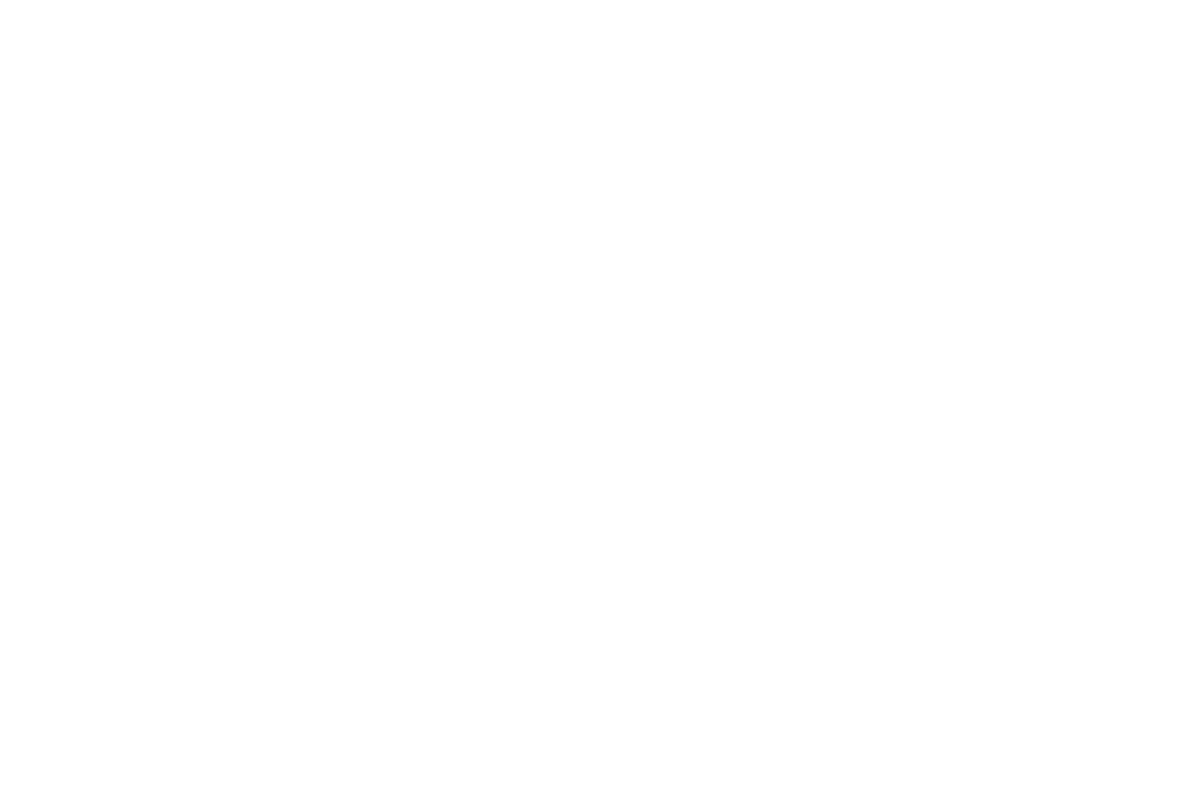 OFFICIAL SELECTION - NEW FILMMAKERS NEW YORK  - 2016.png