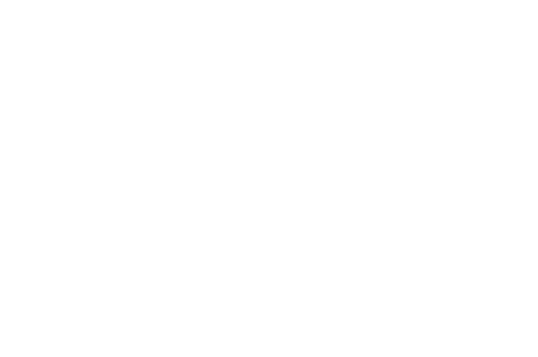 OFFICIAL SELECTION - NYCIFF  - 2016.png